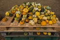 Display at Italian Pumpkin Farm Royalty Free Stock Photo