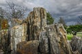 Display of large pieces of petrified wood in a pile outdoors under a blue sky with pretty clouds Royalty Free Stock Photo