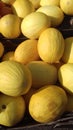 Display of Mellons uk. Royalty Free Stock Photo