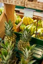Display Of Pineapples And Bananas In Organic Farm Shop