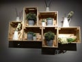 Display of plants shelves Royalty Free Stock Photo