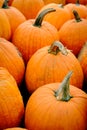 Display Pumpkins