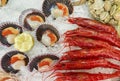Display with scallops Chlamys varia and carabineros Aristaeopsis edwardsiana on ice in a restaurant in Malaga. Spain