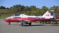 Display by the Snowbirds team at the Air Show event