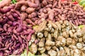 Display of sweet potatoes at the market Royalty Free Stock Photo