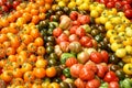 Display of Tomatoes Royalty Free Stock Photo