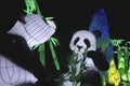 A display with two colorfully lit Giant Pandas at the China Lights Festival in Rhenen, the Netherlands