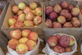 Boxes of Farmers Market Newly Harvested Autumn Orchard Apples For Sale