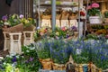 Flower kiosk in downtown Hilversum, Netherlands