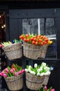 Display of wooden tulips for sale in Netherlands