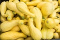 Display of yellow squash at the market Royalty Free Stock Photo