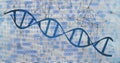 Displaying blue DNA helix stretching across digital canvas, with binary code and network nodes Royalty Free Stock Photo