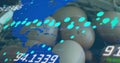 Displaying cluster of speckled eggs in carton glowing under world map, with numeric readouts Royalty Free Stock Photo