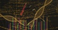 Displaying DNA double helix winding across screen with bars, code snippets and network plot lines Royalty Free Stock Photo