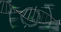 Displaying DNA helix running across teal interface, with holographic reticles and code snippets Royalty Free Stock Photo