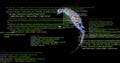 Displaying JavaScript UI showing highlighted code lines and 3D wireframe head on screen, copy space Royalty Free Stock Photo