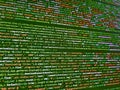 Displaying program code on computer. Monitor close up. Software developer programming code. Website development. Coding, Royalty Free Stock Photo