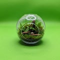 Displaying a self sustaining environment in a compact decorative Royalty Free Stock Photo