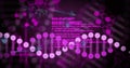 Displaying stylized DNA double-helix visual across dark digital backdrop, with magenta code text Royalty Free Stock Photo