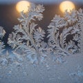 Displaying typical ice dendrite formations that form in cold Royalty Free Stock Photo