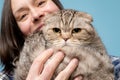 Displeased Scottish Fold cat in the arms of its happy smiling owner. Blue background. Close-up.