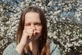 Displeased young woman having allergy symptoms from blooming tree pollen in spring suffering runny nose and sneezing rubbing her Royalty Free Stock Photo