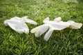 Disposable anti Coronavirus gloves thrown on the ground