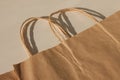 Disposable bags of kraft paper isolated, eco style living, ecological and economical pacaging