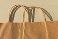Disposable bags of kraft paper isolated, eco style living, ecological and economical pacaging