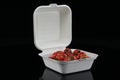 Disposable Biodegradable Sugarcane Bagasse Food Box