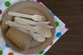 Disposable eco dishes from paper cardboard spoon fork knife Royalty Free Stock Photo