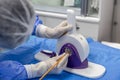 Disposable heart valve crimping tool. In the operating room, the doctor prepares the heart valve for transplantation to the Royalty Free Stock Photo