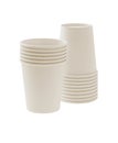 Disposable paper cups