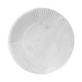 Disposable paper plate