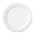 Disposable Paper Plate. Isolated on White. Royalty Free Stock Photo