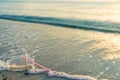 Disposable plastic glass discarded on sandy sea coast ecosystem Royalty Free Stock Photo