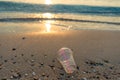 Disposable plastic glass discarded on sandy sea coast ecosystem, nature Royalty Free Stock Photo