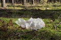 Disposable polyethylene bag on grass in forest. Recycling problem Royalty Free Stock Photo