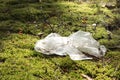 Disposable polyethylene bag on grass outdoors. Recycling problem Royalty Free Stock Photo