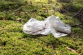 Disposable polyethylene bag on grass outdoors. Recycling problem Royalty Free Stock Photo