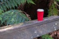 Disposable red coffee cup on wooden railing in rainforest.