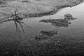 Dispose of two bicycles in a river as a symbol of environmental pollution