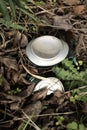 Disposed of can in nature