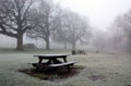 Diss Norfolk Mere Park in Winter