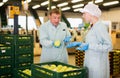 Dissatisfied foreman reprimanding workwoman about quality of apples