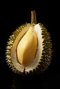 Dissected durian fruit with yellow pulp , black background, Yellow durian fruit with black background