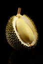 Dissected durian fruit with yellow pulp , black background, Yellow durian fruit with black background