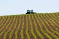 In the distance, a farmer drives a tractor across a corn field growing crops in neat green rows Royalty Free Stock Photo