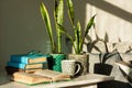 Distance home education: pile of books in colorful covers, glasses, cup of tea and Sansevieria snake plant in ceramic pots on a