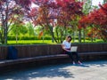 Distance learning online education. Woman with laptop outdoors. Startup business Royalty Free Stock Photo